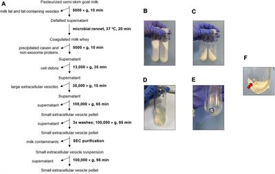 Isolation of goat milk small extracellular vesicles by novel combined bio-physical methodology